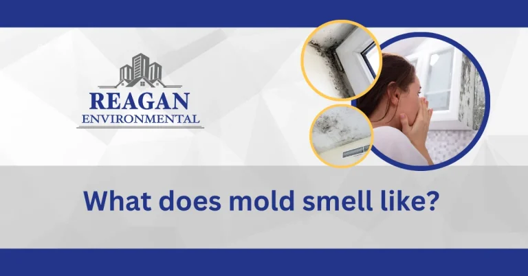 Learn more about indoor air quality testing and how it's affecting everyone