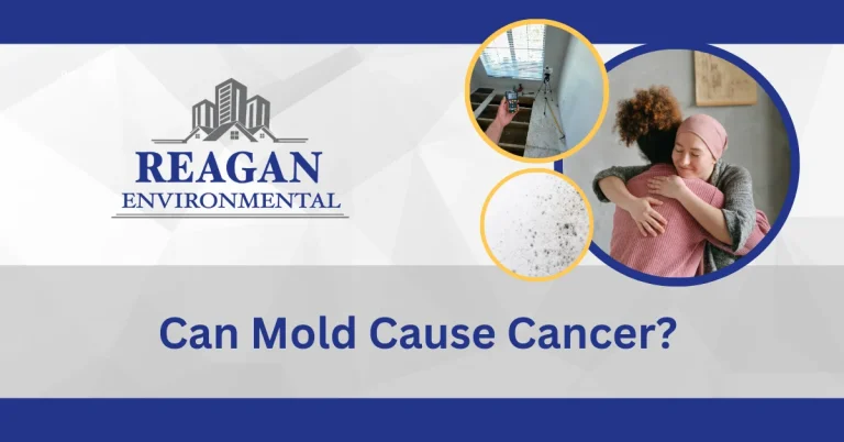 This is a featured image about can mold cause cancer in houston, texas this is about a reagan environmental blog