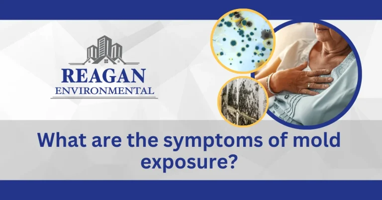 Learn about the symptoms of mold exposure with Reagan Environmental