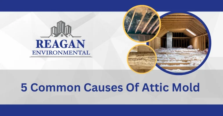The featured image for the blog named: 5 common causes of attic mold. by Reagan Environmental.