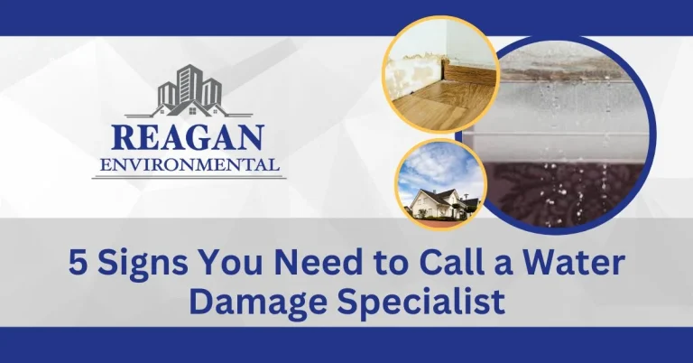 Infographics about signs you need to call a water damage specialist