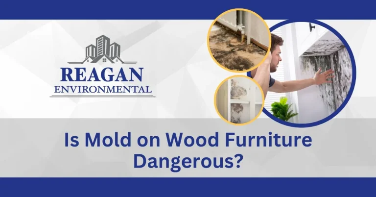 Template graphics showing molds on different furniture for the blog "is mold on wood furniture dangerous?"
