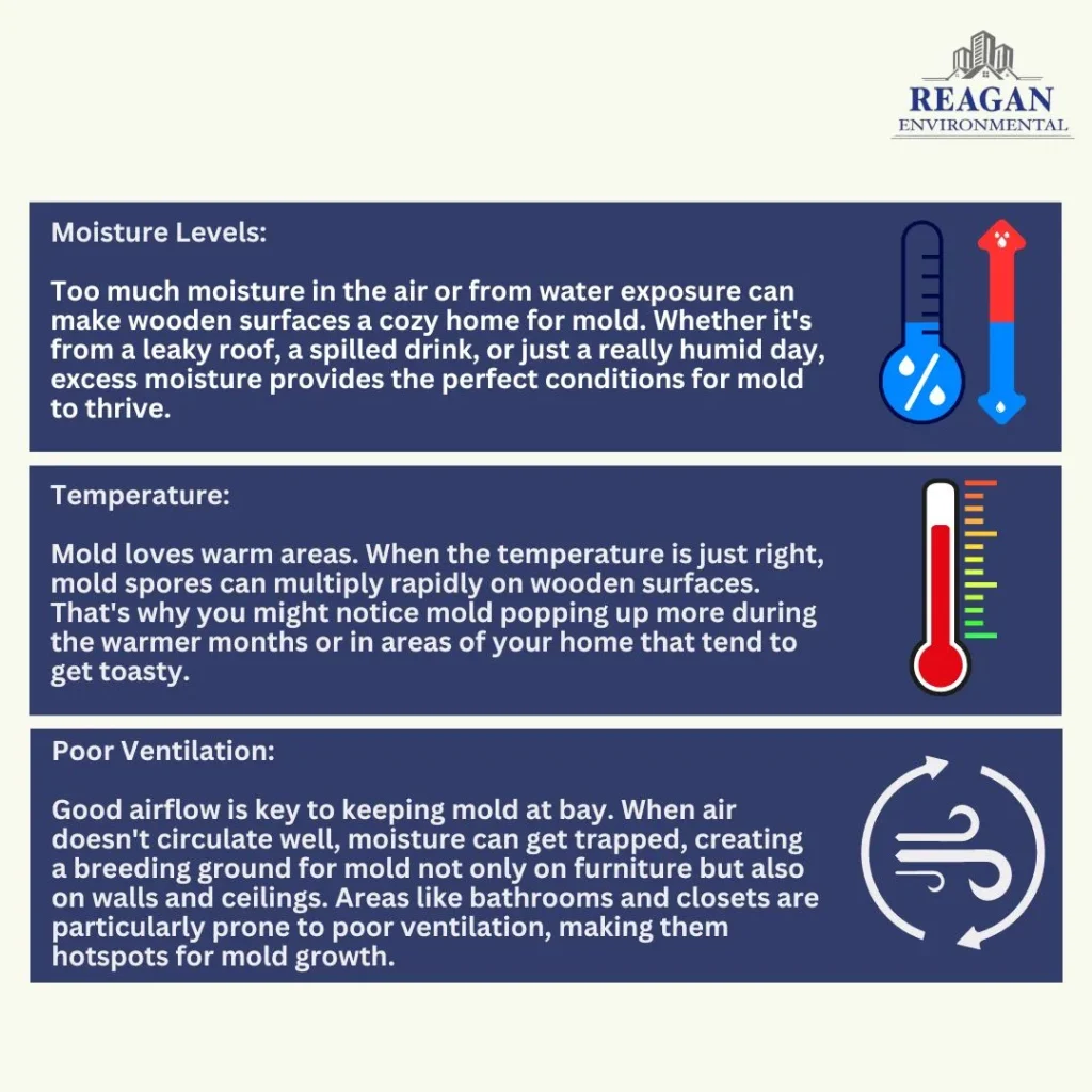 Infographics showing factors contributing to mold growth for the blog is mold on wood furniture dangerous