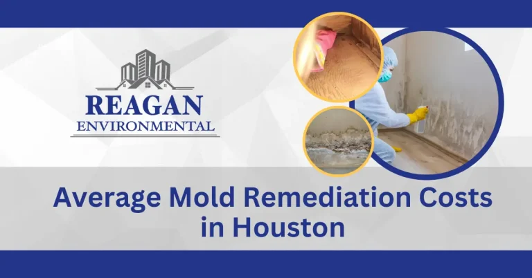 This is a themed feature image for the blog "average mold remediation cost in houston" showing images like mold remediation and types of mold.