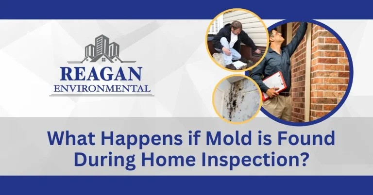 Templated feature image with images of home inspectors checking homes for the blog What Happens if Mold is Found During Home Inspection?