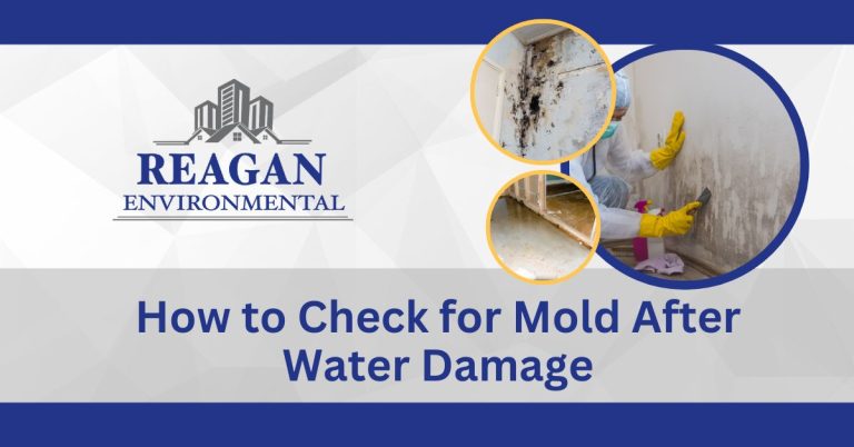 This is a featured image with images of home inspectors checking homes after water damage for the blog How to Check for Mold After Water Damage
