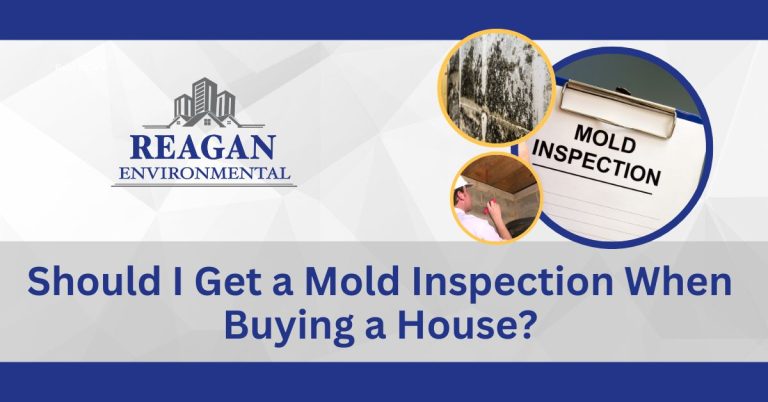 This is a themed feature image for the blog "Should I Get a Mold Inspection When Buying a House?​" showing images like mold inspection and and a professional looking for mold