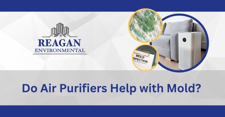 This is a featured image with an image of home air purifiers and mold for the blog "Do Air Purifiers Help with Mold"