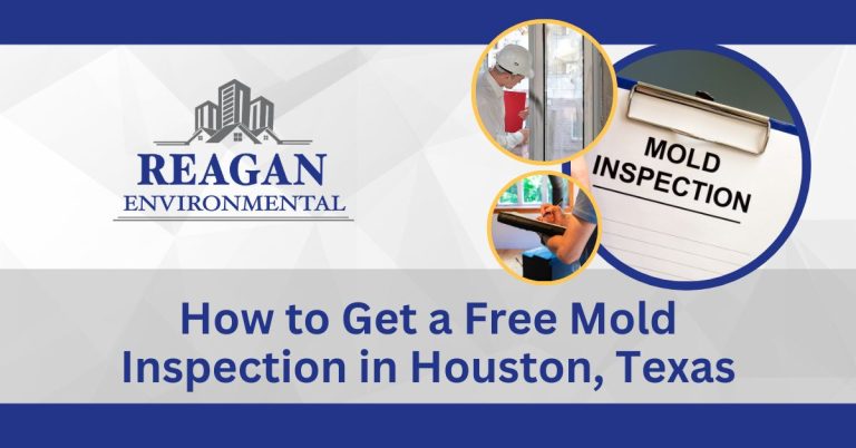 This is a featured image with an image of experts during inpecction of mold for the blog "How to Get a Free Mold Inspection in Houston, Texas"
