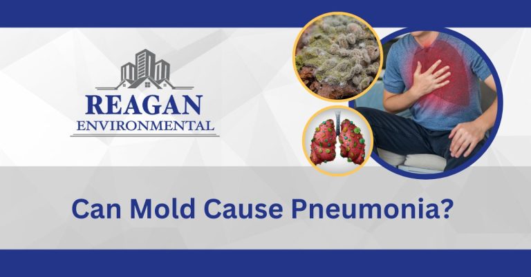This is a featured image with an image of affected lungs by mold for the blog "Can Mold Cause Pneumonia"