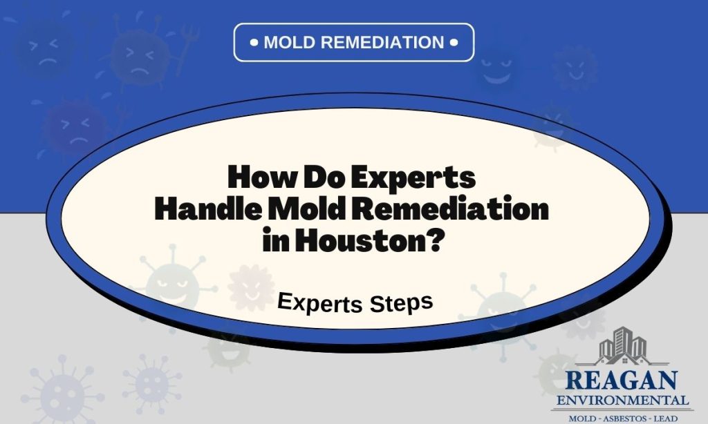Informational graphic by Reagan Environmental showcasing the steps experts take to handle mold remediation in Houston, with a professional design featuring a bold title in an oval frame surrounded by a blue background and faded illustrations of microbes.