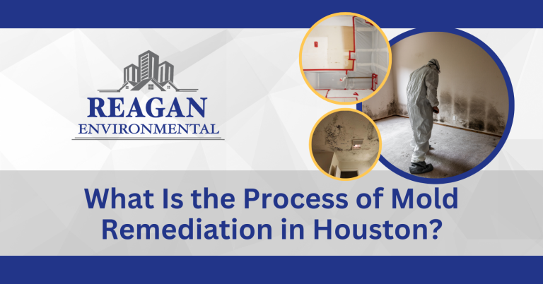 This is a featured image for the blog "What Is the Process of Mold Remediation in Houston"