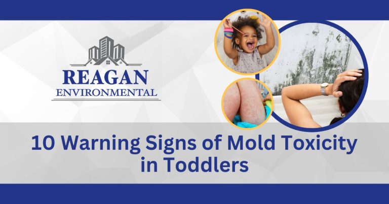 This is a featured image for the blog that lists the "10 Warning Signs of Mold Toxicity in Toddlers"
